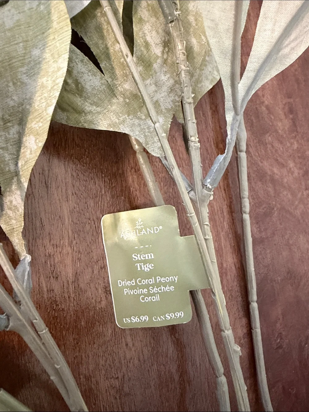 (4) NWT Dried Coral Peony Stems by Ashland